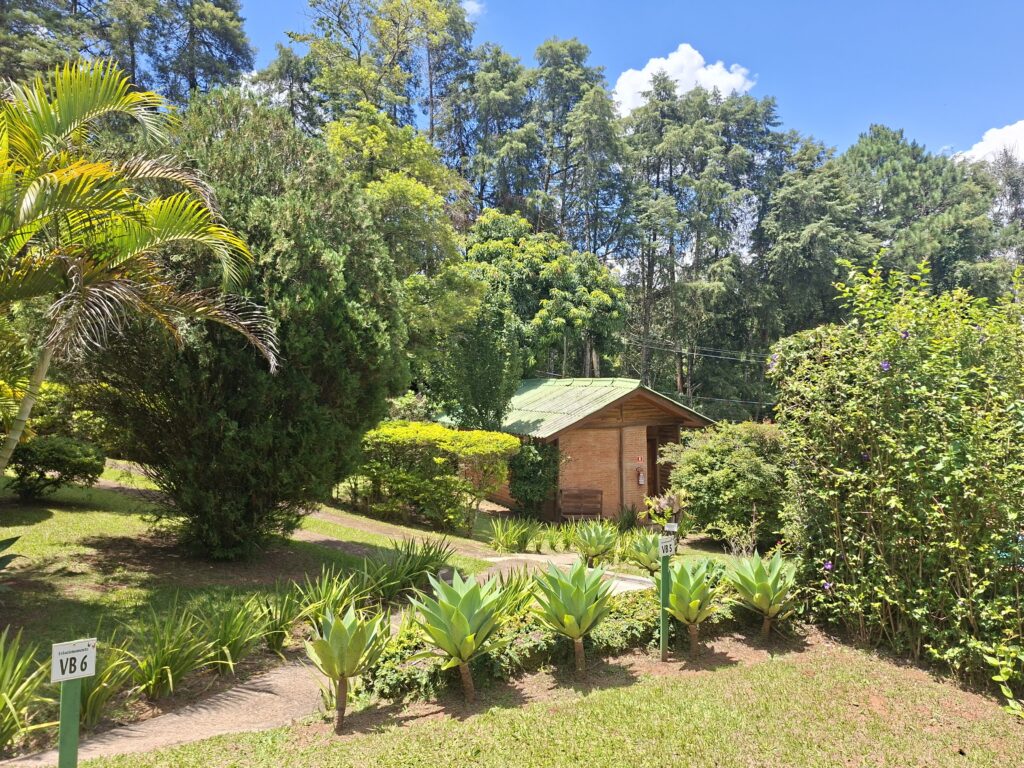 Verde é o que não falta na Pousada Realeza.